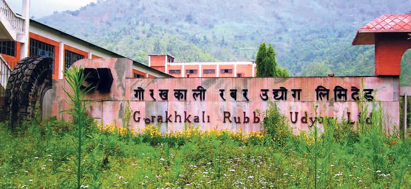 एक समयको गौरव, आज उजाड- गोरखकाली रबर उद्योग लिमिटेड दशकदेखि ठप्प