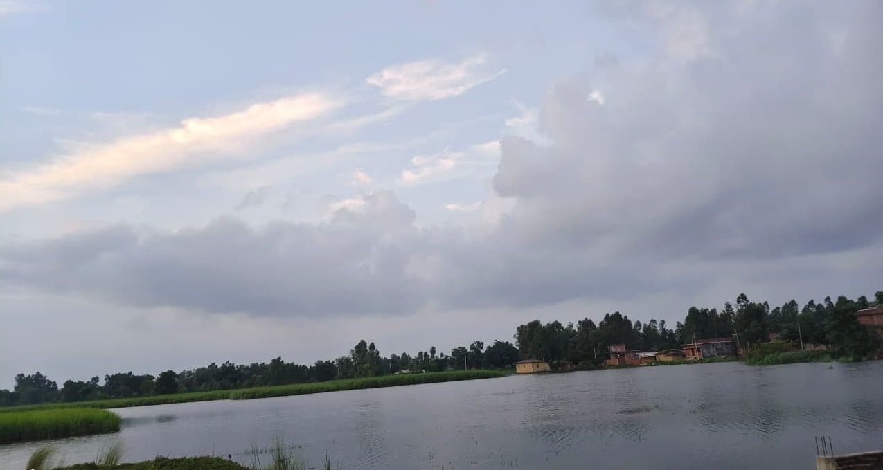 मनसुनको वर्षाले राहत होइन विपद्: रौतहटमा ४० बिगाहा धानबाली डुबानमा